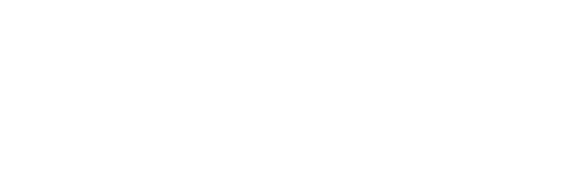 RioAce logo